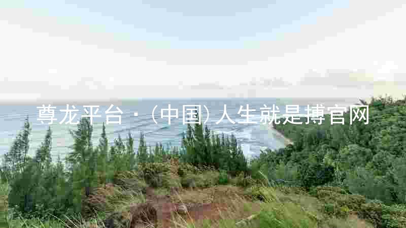 尊龙平台·(中国)人生就是搏官网