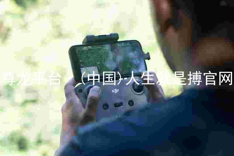 尊龙平台·(中国)人生就是搏官网