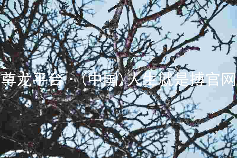 尊龙平台·(中国)人生就是搏官网
