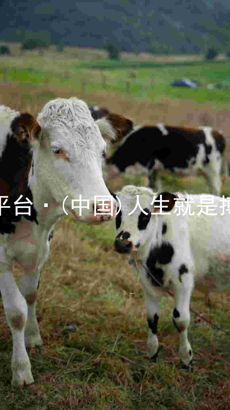 尊龙平台·(中国)人生就是搏官网