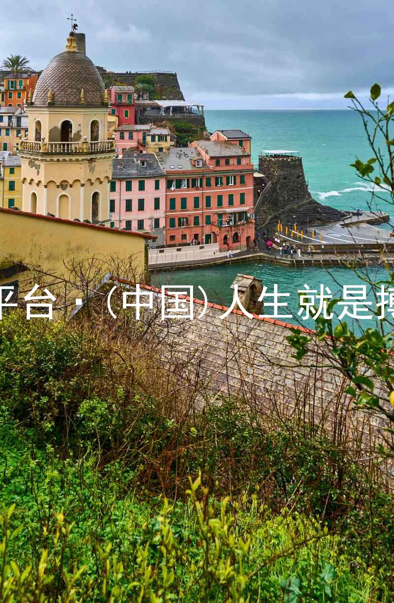 尊龙平台·(中国)人生就是搏官网