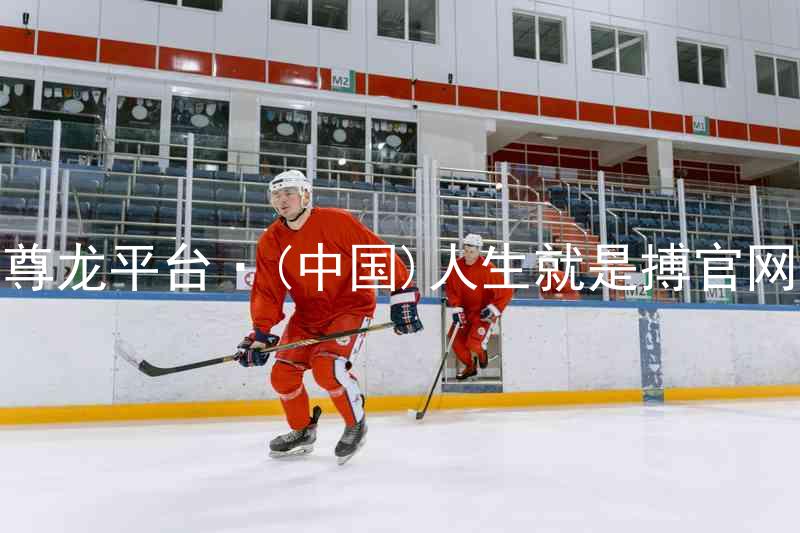 尊龙平台·(中国)人生就是搏官网