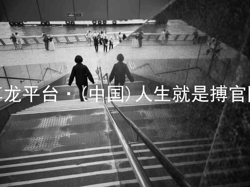 尊龙平台·(中国)人生就是搏官网
