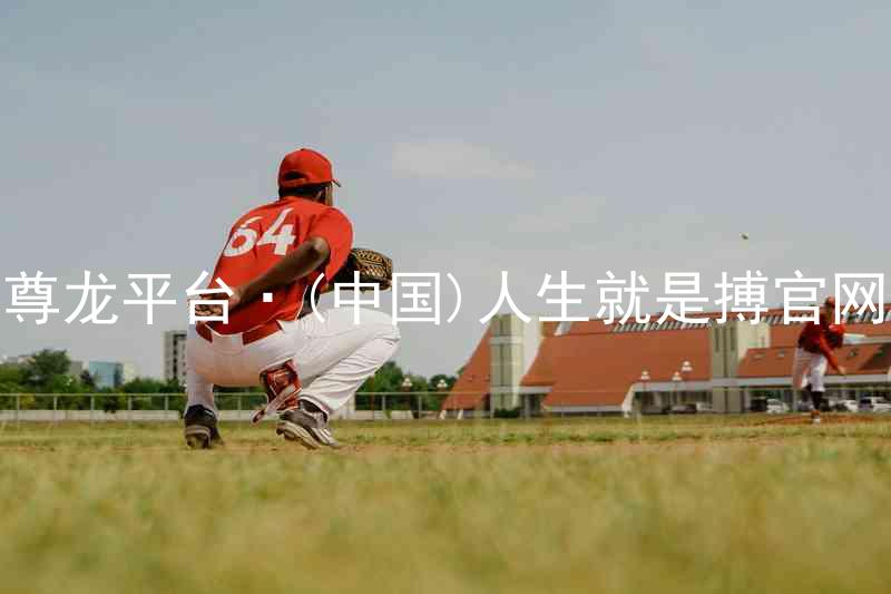 尊龙平台·(中国)人生就是搏官网