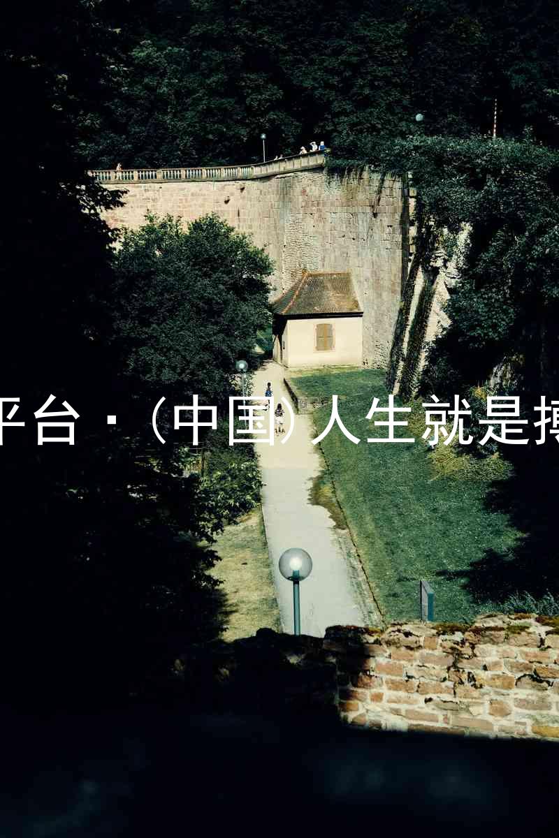 尊龙平台·(中国)人生就是搏官网