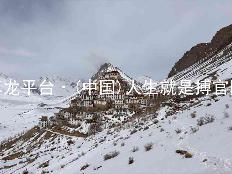 尊龙平台·(中国)人生就是搏官网