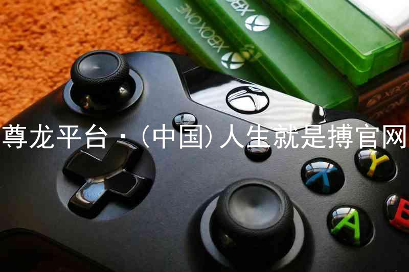 尊龙平台·(中国)人生就是搏官网